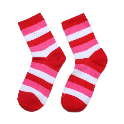 The Case of the Missing Sock
