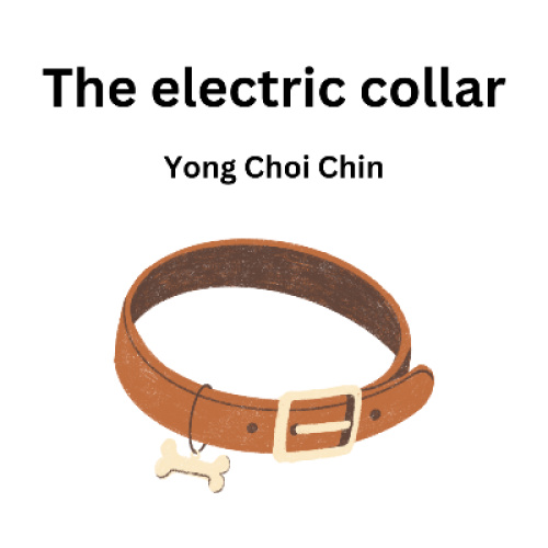 The electric collar