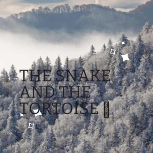 THE SNAKE AND THE TORTOISE 