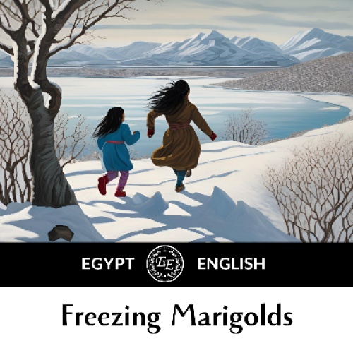 Freezing Marigolds