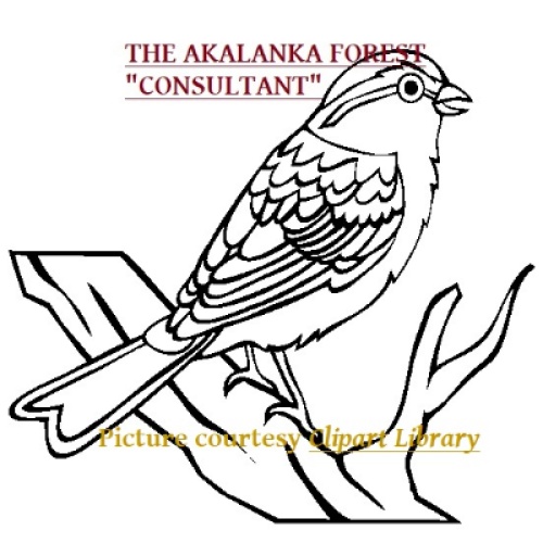 CLIFTON THE AKALANKA FOREST CONSULTANT
