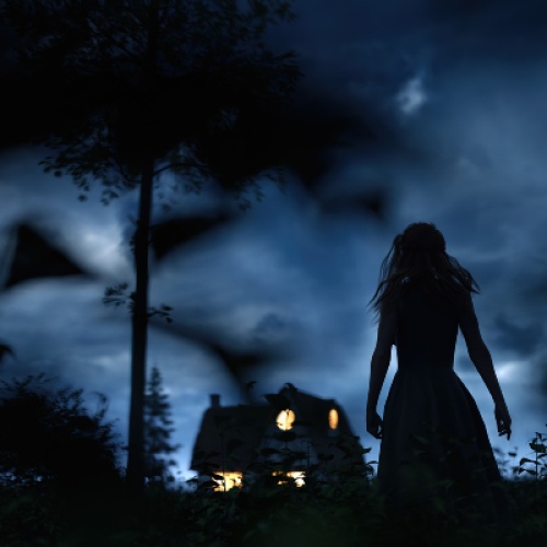 The House That Called My Name