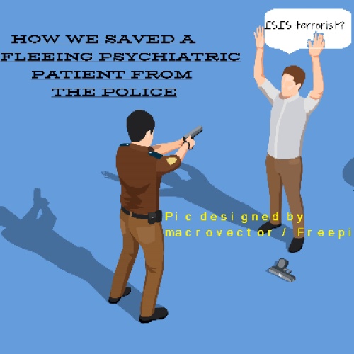 HOW WE SAVED A FLEEING LUNATIC FROM THE POLICE