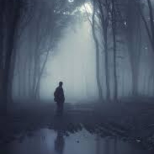 The Boy Who Never Made It Home