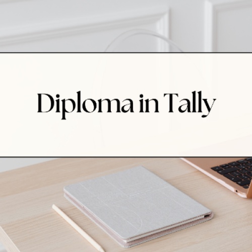 NIILM University Offers Best Diploma in Tally and Accounting in Haryana