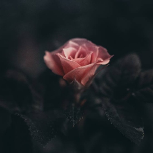 Darkness 