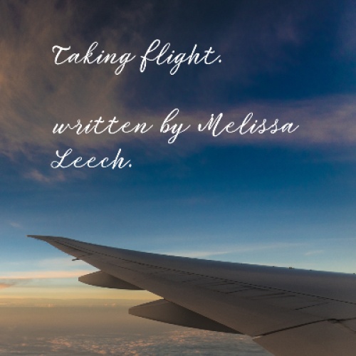 Taking flight