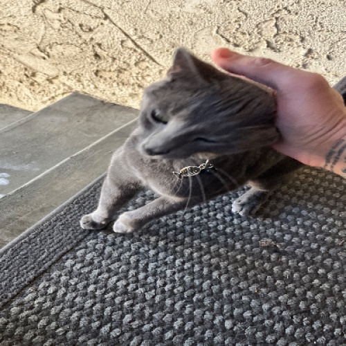 “The Warmth of Friendship”