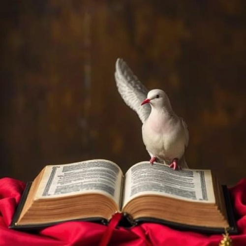 The Dove of Faith