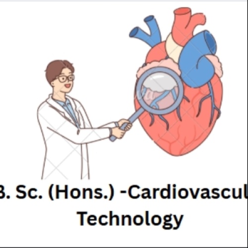 NIILM University Offers The Bsc Hons Cardiovascular Technology in Haryana | Get 100% Placement in Best Bsc University - NIILM University.