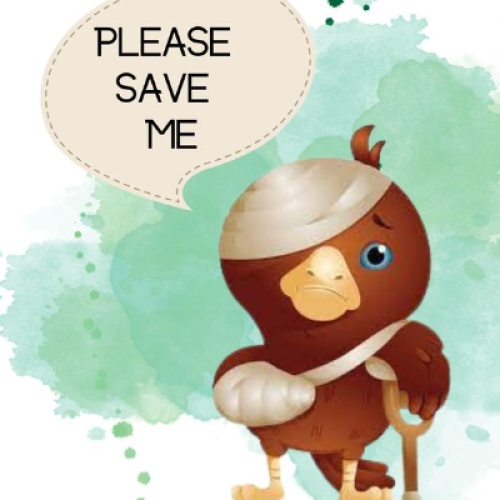 An Injured Bird