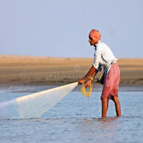 The Fisherman and the Signboard