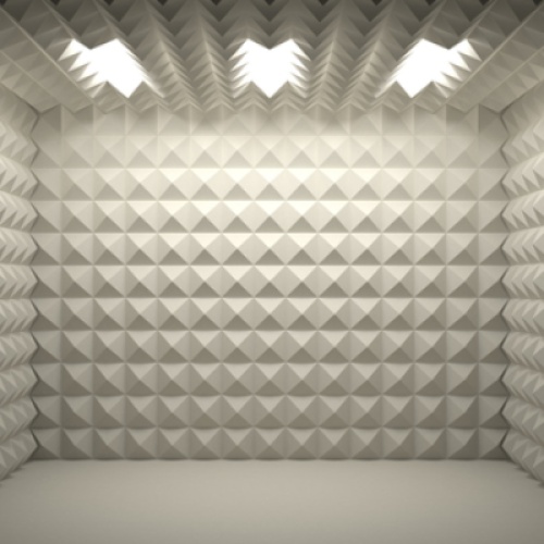 The Echo Room
