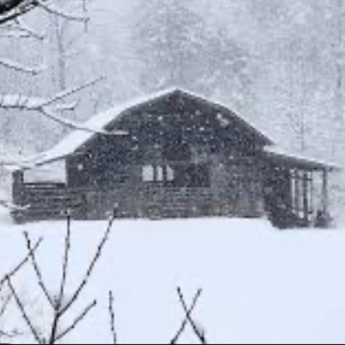 The Cabin