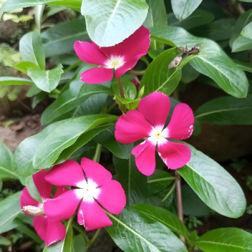 The Hidden Goodness