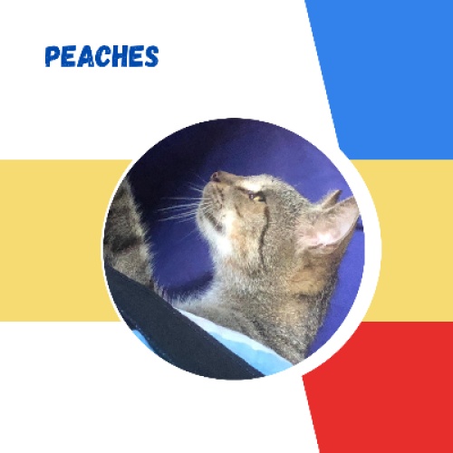 Peaches