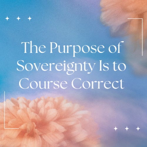 The Purpose of Sovereignty Is to Course Correct