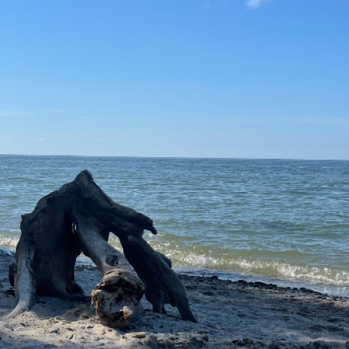 What the difference between ocean and lake?