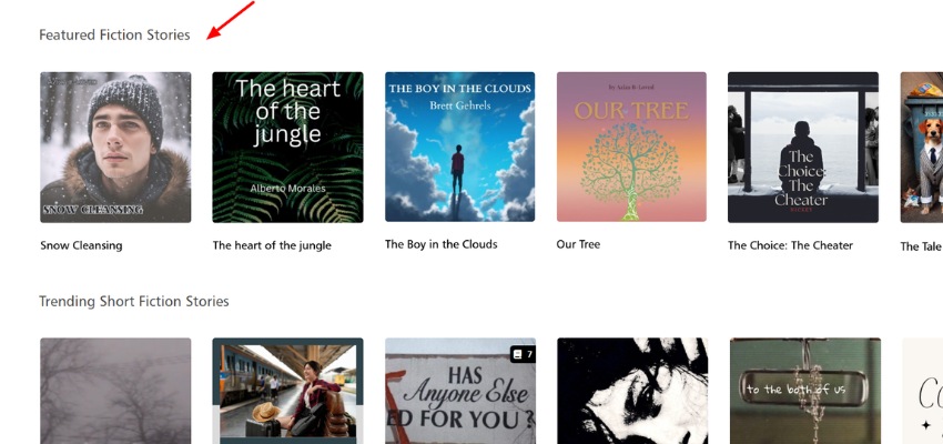 Category Page