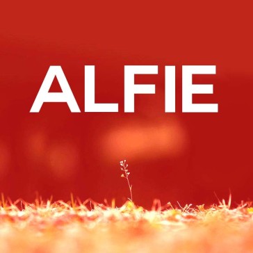 Alfie