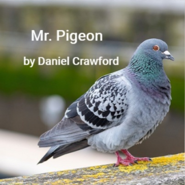 Mr. Pigeon