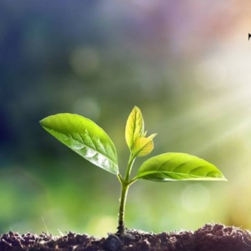Success is Not Just About Winning, But About Growing
